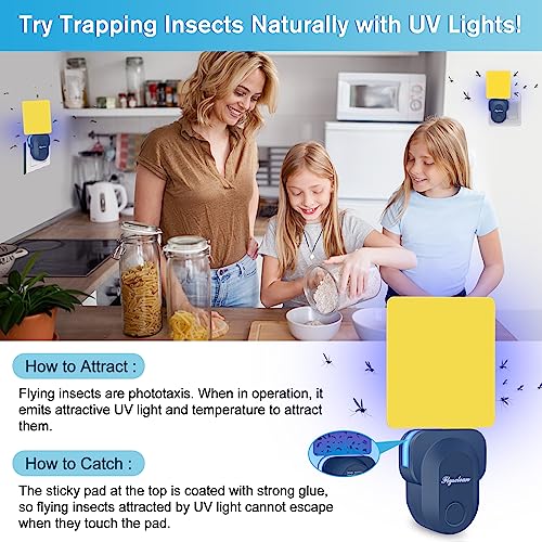 Flying Insect Trap Plug-in, 2023 Upgrade Plug-in Bug Catcher Mosquito Fruit Fly Trap Gnat Killer Indoor, Safe Non-Toxic UV Night Light Fly Trap with Sticky Trap for Flies, Gnats, Moths (Blue, 1 Pack)