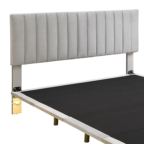 CITYLIGHT Upholstered Floating Bed Frame,Smart LED Bed Frame with Sensor Light and Headboard, Modern Velvet Floating Bed for Girls Boys Teens Adults, Grey