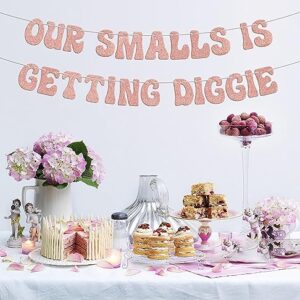 Our smalls is getting biggie banner, 1st Birthday Decorations，Notorious The Big One Biggie 1st Birthday Decor For Kids, Hip Hop Theme First Birthday Baby Shower Party Supplies Rose Gold Glitte.