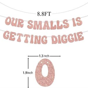 Our smalls is getting biggie banner, 1st Birthday Decorations，Notorious The Big One Biggie 1st Birthday Decor For Kids, Hip Hop Theme First Birthday Baby Shower Party Supplies Rose Gold Glitte.