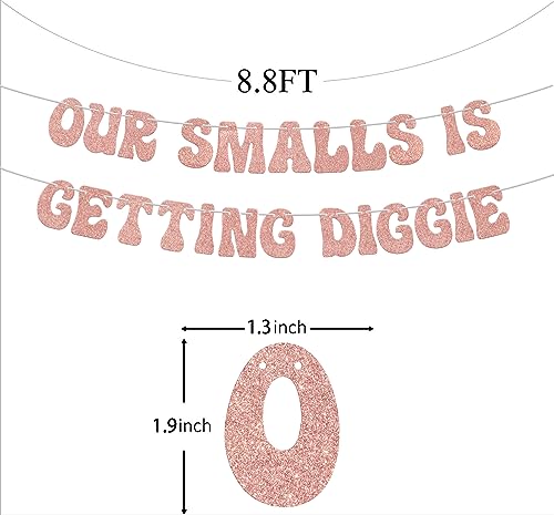 Our smalls is getting biggie banner, 1st Birthday Decorations，Notorious The Big One Biggie 1st Birthday Decor For Kids, Hip Hop Theme First Birthday Baby Shower Party Supplies Rose Gold Glitte.