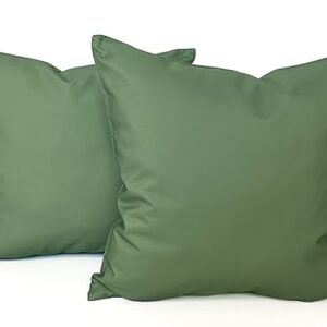 Ensperta Pack of 2 Outdoor 18x18 Waterproof Green Throw Pillow Covers Decorative Square Patio Pillows for Patio Furniture (Loden Frost)