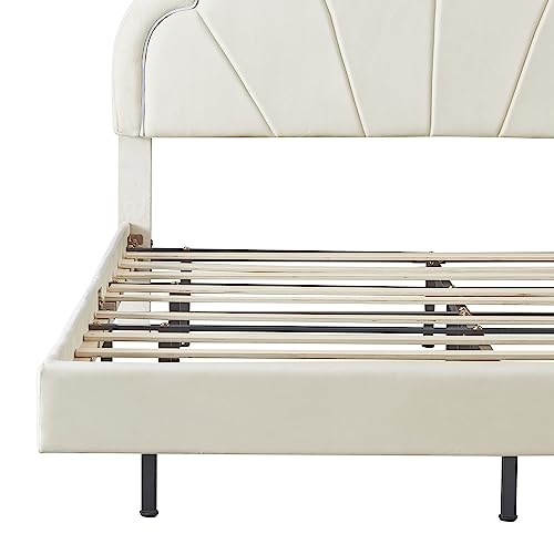 Queen Size LED Floating Beds,Upholstered Platform Bed with Elegant Flowers Headboard, Modern Bed Frame with LED Light for Kids Girls Boys Teens Adults, No Box Spring Needed(Beige)
