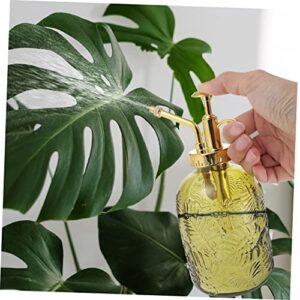 GANAZONO 2pcs watering can glass plant spray bottle spray bottle for plants transparent glass watering bottle vintage plant mister carafes plants decor suculentas High capacity plant bottle