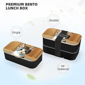 Bedroom Kitten Adult Lunch Box, Bento Box, With Cutlery Set Of 3, 2 Compartments, Rectangular, Lunch Box For Adults