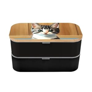 Bedroom Kitten Adult Lunch Box, Bento Box, With Cutlery Set Of 3, 2 Compartments, Rectangular, Lunch Box For Adults