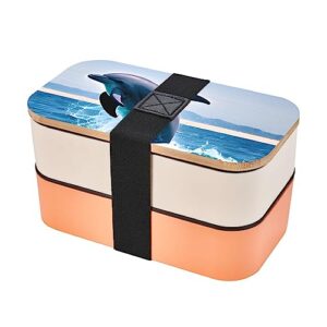 jumping up dolphins adult lunch box, bento box, with cutlery set of 3, 2 compartments, rectangular, lunch box for adults