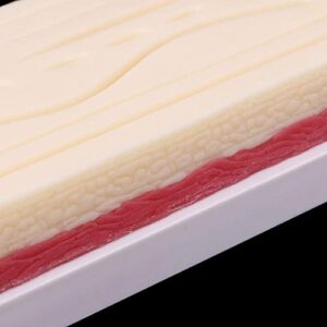 Anatomy Model Skeleton Model Silicone Human Skin Model Suture Practice Pad Surgical Practice Tool