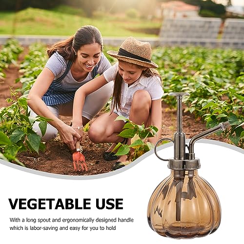 SAFIGLE Watering can Plants Spray Mister Glass Mister Spray Bottle Water Spritzer for Plants Succulent Accessories Succulent Watering Bottle for Home Balcony Glass Spray Bottle