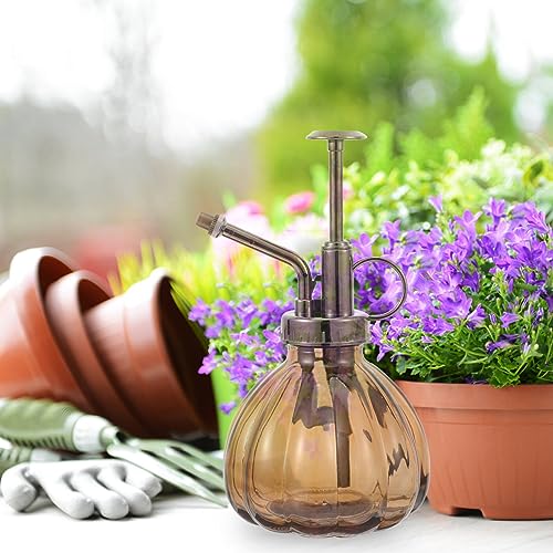 SAFIGLE Watering can Plants Spray Mister Glass Mister Spray Bottle Water Spritzer for Plants Succulent Accessories Succulent Watering Bottle for Home Balcony Glass Spray Bottle