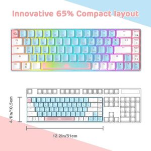 MANBASNAKE MK14 60% Mechanical Gaming Keyboard, Compact 68 Keys Mini Wired Office Keyboard, Hot Swappable RGB Gaming Keyboard with Blue Switch for Windows/Laptop/PC/Mac Gamer