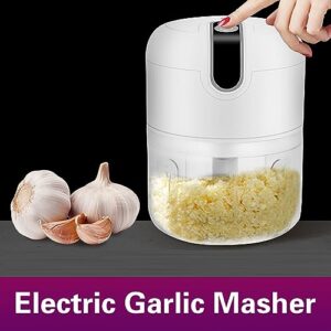 Multi Functional Cooking Electromechanical Meat Mince Machine Home Meat Grinder Garlic Rope (White, One Size)