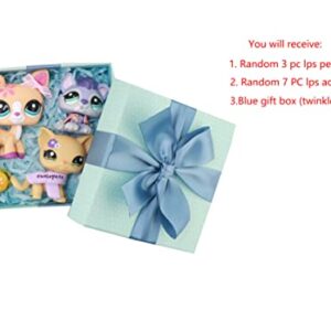 LPS Gift Box, Random 3 pc LPS Pet Figure Toy with Random 7 PC LPS Accessories Pack Blue Surprise Box Random LPS Cat Dog Kids Xmas Birthday Gift Set