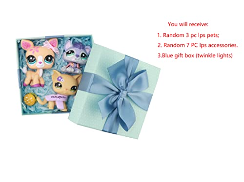 LPS Gift Box, Random 3 pc LPS Pet Figure Toy with Random 7 PC LPS Accessories Pack Blue Surprise Box Random LPS Cat Dog Kids Xmas Birthday Gift Set