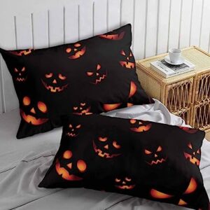 Edwiinsa Halloween Pillow Covers Standard Size Set of 2 Bed Pillow, Fall Pumpkin HorrorBlack Orange Plush Soft Comfort for Hair/Skin Cooling Pillowcases with Envelop Closure 20''x26''