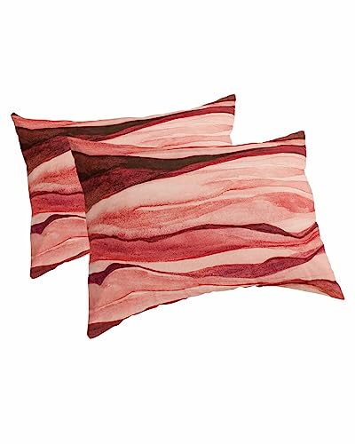 Edwiinsa Red Ombre Pillow Covers King Standard Set of 2 Bed Pillow, Watercolor Modern Abstract Art Aesthetics Plush Soft Comfort for Hair/Skin Cooling Pillowcases with Envelop Closure 20''x36''