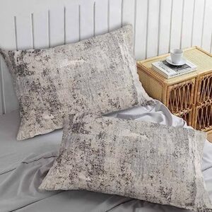 Edwiinsa Beige Wall Pillow Covers King Standard Set of 2 Bed Pillow, Farmhouse Vintage Shabby Wall Abstract Art Plush Soft Comfort for Hair/Skin Cooling Pillowcases with Envelop Closure 20''x36''