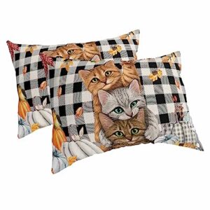 Thanksgiving Pillow Covers Standard Size Set of 2 Bed Pillow, Fall Pumpkin Cats Maple Leaf Black White Plaid Plush Soft Comfort for Hair/ Skin Cooling Pillowcases with Envelop Closure 20''x26''