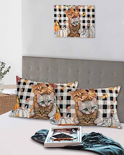 Thanksgiving Pillow Covers Standard Size Set of 2 Bed Pillow, Fall Pumpkin Cats Maple Leaf Black White Plaid Plush Soft Comfort for Hair/ Skin Cooling Pillowcases with Envelop Closure 20''x26''