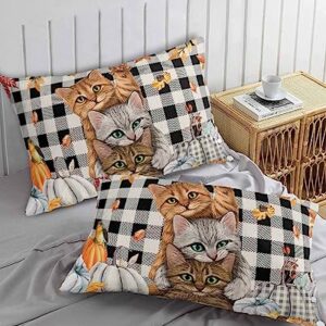 Thanksgiving Pillow Covers Standard Size Set of 2 Bed Pillow, Fall Pumpkin Cats Maple Leaf Black White Plaid Plush Soft Comfort for Hair/ Skin Cooling Pillowcases with Envelop Closure 20''x26''