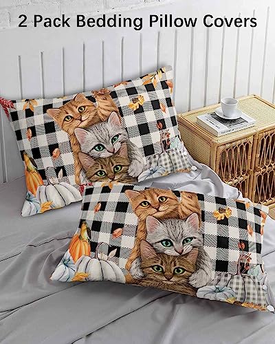 Thanksgiving Pillow Covers Standard Size Set of 2 Bed Pillow, Fall Pumpkin Cats Maple Leaf Black White Plaid Plush Soft Comfort for Hair/ Skin Cooling Pillowcases with Envelop Closure 20''x26''