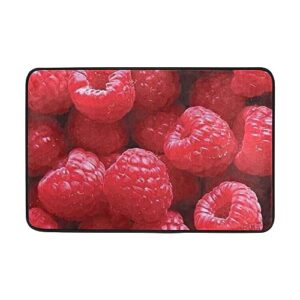 doormat welcome door mat-red raspberries as background 4x5 film,living room kitchen floor mat home  indoor outdoor decoration 24x16inch