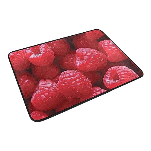 Doormat Welcome Door Mat-Red Raspberries As Background 4x5 Film,Living Room Kitchen Floor Mat Home  Indoor Outdoor Decoration 24X16INCH