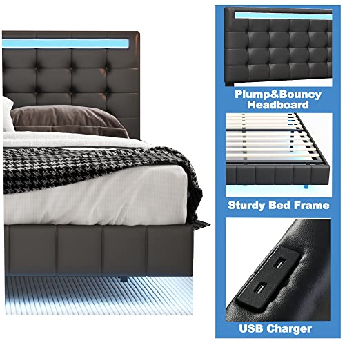 Queen Size Floating Bed Frame with LED Lights and USB Charging, Modern Upholstered Platform LED Bed Frame No Box Spring Needed, Easy Assembly (Black)