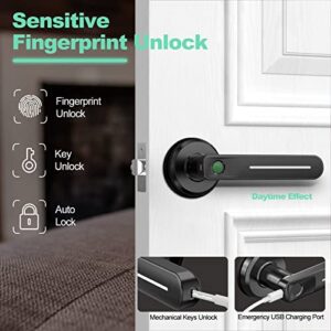 GeekTale Smart Door Handle Fingerprint Door Lock Door Levers Biometric Door Lock for Bedroom Office Apartment, Black