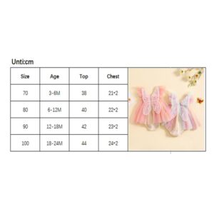 Infant Baby Girl Rompers Dress Embroidery Butterfly Wing Fly Sleeve Rainbow Tulle Skirt Jumpsuits Baby Bodysuits (Colorful Purple, 12-18 Months)