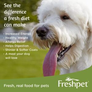Salutem Vita - Freshpet Select Fresh from The Kitchen Home Cooked Chicken Recipe for Dogs, 1.75 Lb - Pack of 3