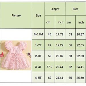 Kids Toddler Baby Girl Princess Dress 3D Butterfly Tulle Dress Summer Fairy Cosplay Birthday Tutu Dress (Multicolored, 4-5 Years)