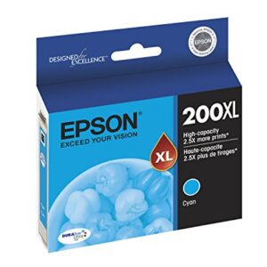 Epson T200 DURABrite Ultra -Ink High Capacity Cyan -Cartridge (T200XL220-S) for Select Expression and Workforce Printers, Large (Pack of 2)
