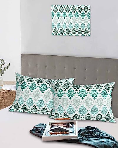 Edwiinsa Teal Ombre Pillow Covers Standard Size Set of 2 20x26 Bed Pillow, Grey Modern Abstract Art Aesthetics Plush Soft Comfort for Hair/Skin Cooling Pillowcases with Envelop Closure