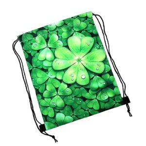 SHERCHPRY 3pcs drawstring backpack sport backpack Patricks Day Drawstring bag St Patrick Day sack party favor shopping bag printed travel bag storage bag tighten up sports bag party supplies