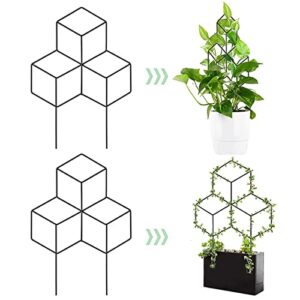 Metal Plant Trellis, Garden Trellis for Climbing Plants, Plant Metal Support Wire Decorative, Climbing Plants Vine Stem Support Wire Iron Holder Rack Black, for Flower Vegetables Rose Vine Pea Ivy