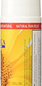 Sanar Naturals Arnica Roll On, 3 oz - Max Strength Relief - Fast Acting - Clear Gel Ointment for Back, Joints, Neck, Legs (Pack of 3)