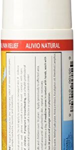 Sanar Naturals Arnica Roll On, 3 oz - Max Strength Relief - Fast Acting - Clear Gel Ointment for Back, Joints, Neck, Legs (Pack of 3)