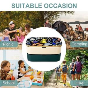 Graphic Ocean Fish Bento Box for Adult Lunch Box Containers with 2 Compartments Large Capacity for Camping Work Office