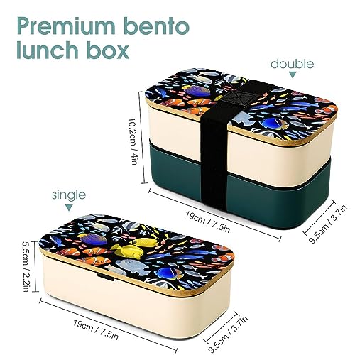 Graphic Ocean Fish Bento Box for Adult Lunch Box Containers with 2 Compartments Large Capacity for Camping Work Office