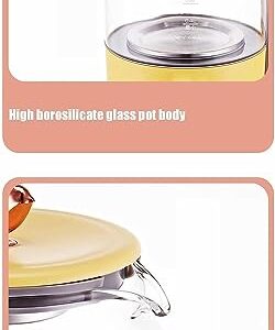 New Health Pot Household Multifunctional Glass Kettle Electric Tea Pot Hot Water Dispensers Electric Kettle Flower Teapot Automatic Electric Stew Bird's Nest Pot 800Ml B,800Ml (Color : A, Size : 800