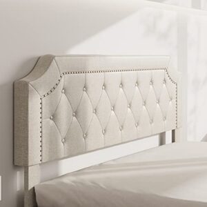 BONSOIR Queen Size Sand Color Bed Frame Upholstered Low Profile Traditional Platform with Tufted and Nail Headboard