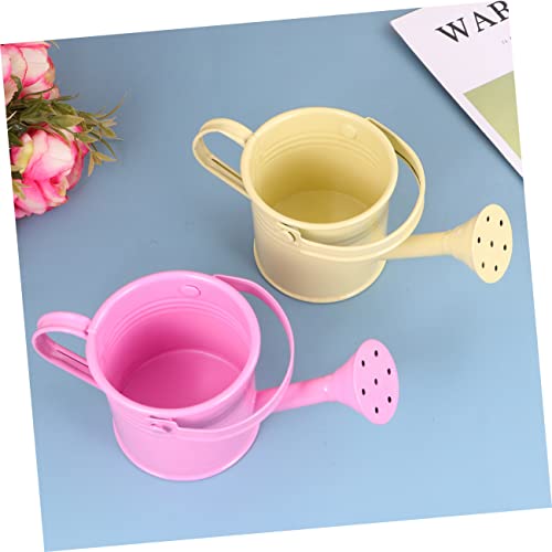 4 pcs Micro Toys Flower pots Outdoor Flowers Plants Decorative Watering can Garden Watering Bucket Cute Watering can with Long Mouth Spray Bottle jug Kettle Iron Bottle Happyyami