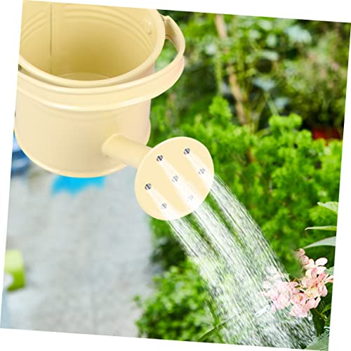 4 pcs Micro Toys Flower pots Outdoor Flowers Plants Decorative Watering can Garden Watering Bucket Cute Watering can with Long Mouth Spray Bottle jug Kettle Iron Bottle Happyyami