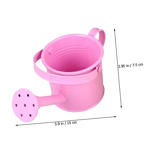 4 pcs Micro Toys Flower pots Outdoor Flowers Plants Decorative Watering can Garden Watering Bucket Cute Watering can with Long Mouth Spray Bottle jug Kettle Iron Bottle Happyyami