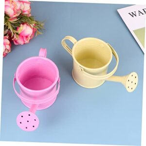 4 pcs Micro Toys Flower pots Outdoor Flowers Plants Decorative Watering can Garden Watering Bucket Cute Watering can with Long Mouth Spray Bottle jug Kettle Iron Bottle Happyyami