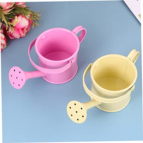 4 pcs Micro Toys Flower pots Outdoor Flowers Plants Decorative Watering can Garden Watering Bucket Cute Watering can with Long Mouth Spray Bottle jug Kettle Iron Bottle Happyyami