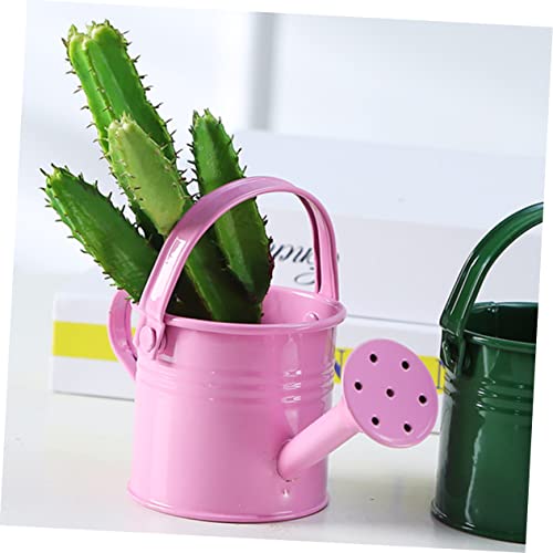 4 pcs Micro Toys Flower pots Outdoor Flowers Plants Decorative Watering can Garden Watering Bucket Cute Watering can with Long Mouth Spray Bottle jug Kettle Iron Bottle Happyyami