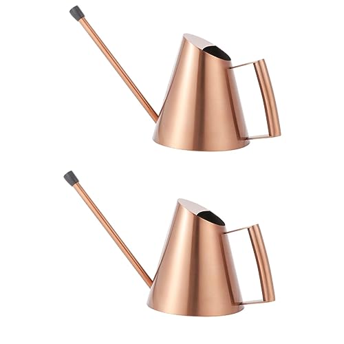 Happyyami 2pcs fine mist spray bottle tools for suculentas vintage decor metal watering plants bonsai watering can Flower Gardening Tool Succulent Watering Device long mouth vase