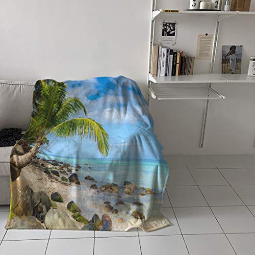 ANNAMALL Throw Blanket,40x60 Inch Palm Tree Beach Sea Cloud Blue Sky Island Reef Stone Microfiber Throw Blankets Warm Cozy Lightweight Blanket for Sofa,Bed,Camping,Picnic